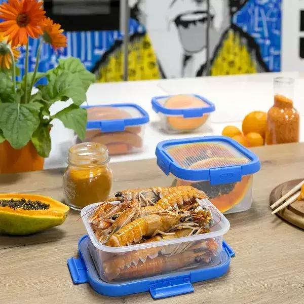 Pojemnik na żywność Smart Flexi 1L / Curver 248924