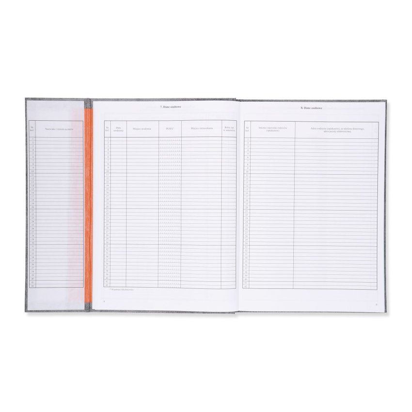 Dziennik Lekcyjny Dla Szkoły Stacjonarnej/Zawodowej (MEN I/4) /Intro-Druk