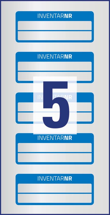 Etykiety Inwentaryzacyjne 2 Liniowe Avery 50x20 10/A4 A'5 Srebrno-Niebieskie No.6910