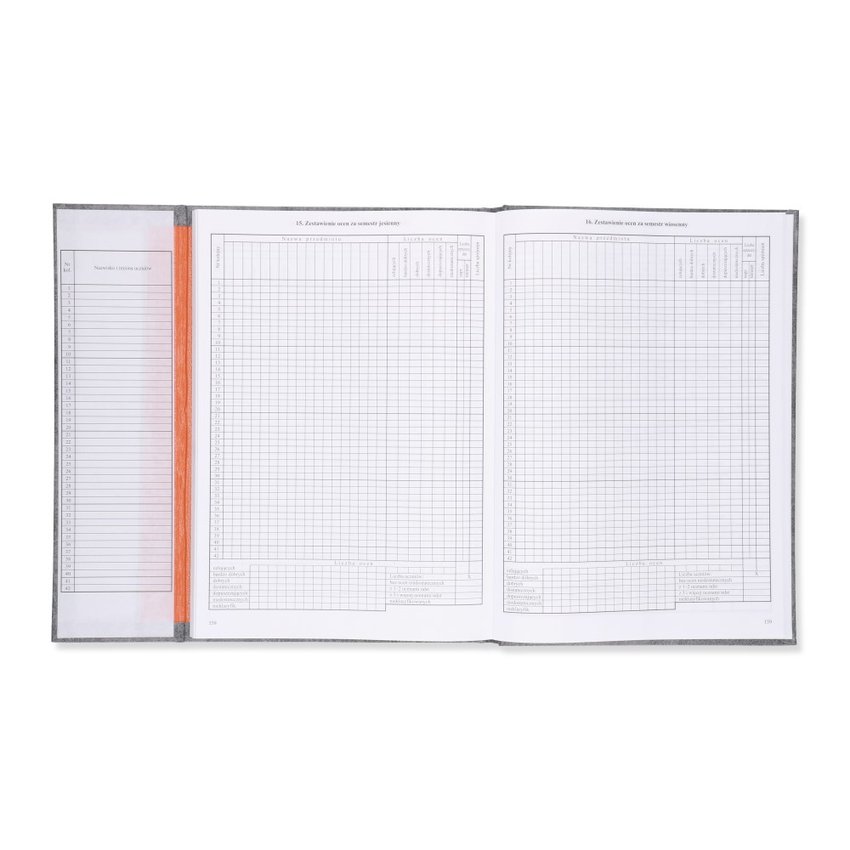 Dziennik Lekcyjny Dla Szkoły Stacjonarnej/Zawodowej (MEN I/4) /Intro-Druk