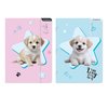 TECZKA Z GUMKA PAP A4 DOGGY STK FOL10/100