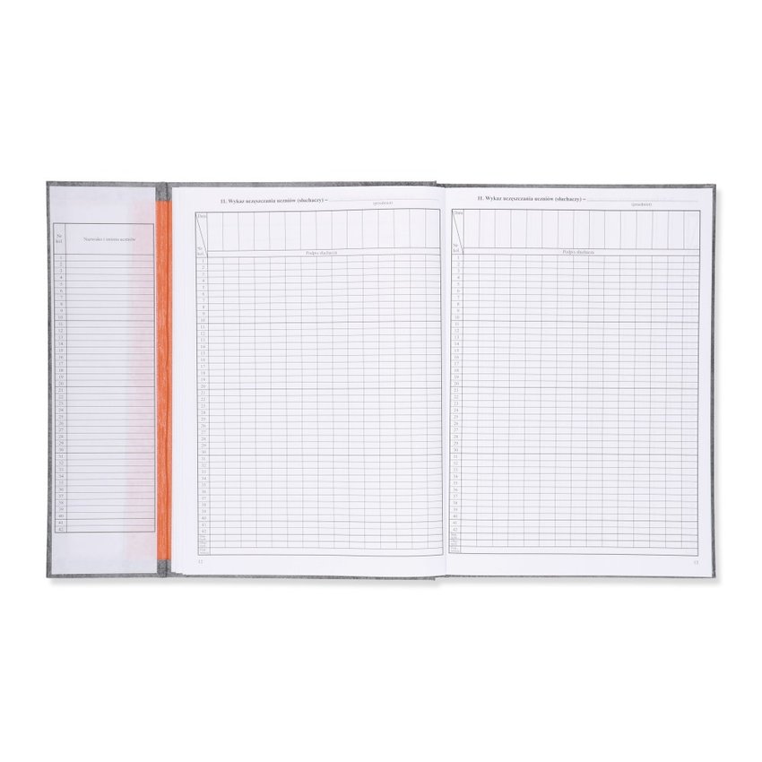 Dziennik Lekcyjny Dla Szkoły Stacjonarnej/Zawodowej (MEN I/4) /Intro-Druk