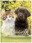 Kalendarz B4 Przyjaciele /Artsezon