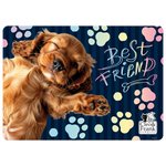 MATA NA STOL PP 290X400 CLEO I FRANK 44 DERF