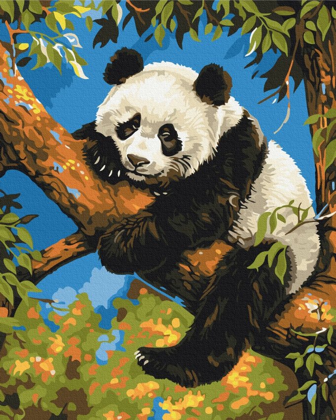 Malowanie po numerach BRUSHME 40x50 cm leniwa panda 1 szt., w pudełku