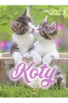 Kalendarz B4 Koty /Artsezon
