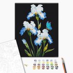 Malowanie po numerach BRUSHME 40x50 cm irysy 1 szt., w pudełku