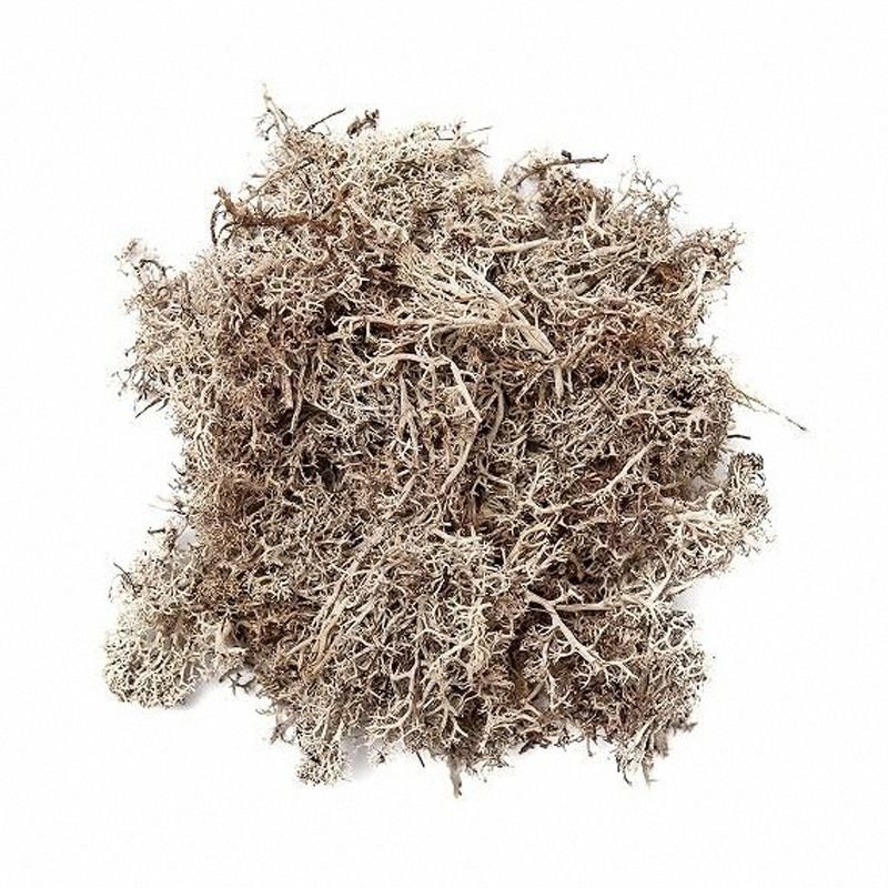 Mech 30g [DPZA-073] Bielony / DpCraft