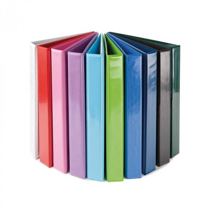 Segregator Panta Plast panorama A4 15 mm 2-ringowy różowy