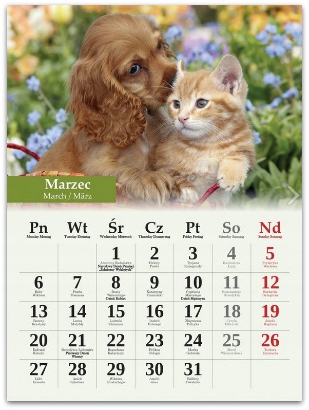 Kalendarz B4 Przyjaciele /Artsezon