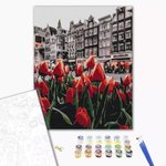 Malowanie po numerach BRUSHME 40x50 cm tulipany Amsterdamu 1 szt.