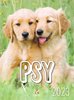 Kalendarz B4 Psy 2023  /Artsezon