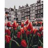 Malowanie po numerach BRUSHME 40x50 cm tulipany Amsterdamu 1 szt.
