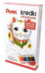 Zestaw Kredek 12szt + Lekcje Rysunku  /Pentel