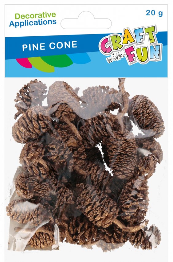Ozdoba Dekoracyjna Szyszka 20g /Craft With Fun