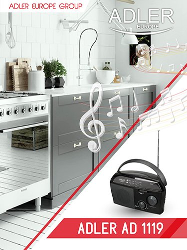 Radio Adler AD 1119