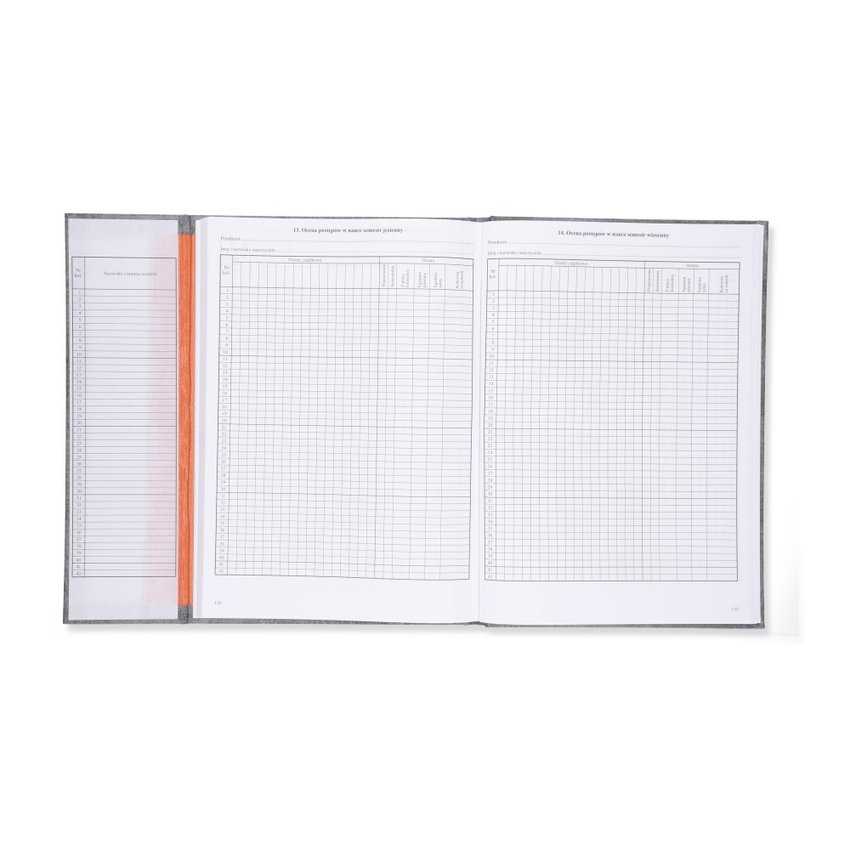 Dziennik Lekcyjny Dla Szkoły Stacjonarnej/Zawodowej (MEN I/4) /Intro-Druk