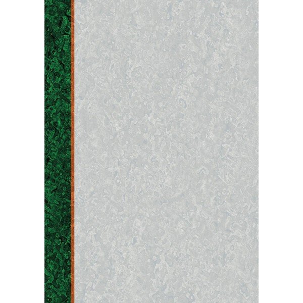 Dyplom O.Papiernia A4 110g Standard A'25 /Opus