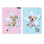 TECZKA Z GUMKA PAP A4 DOGGY STK FOL10/100