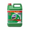 Domestos Płyn do WC 5L 24H Pine Fresh (zielony)