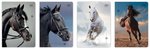 Zeszyt A5 32# M 70g UV Wild Horses