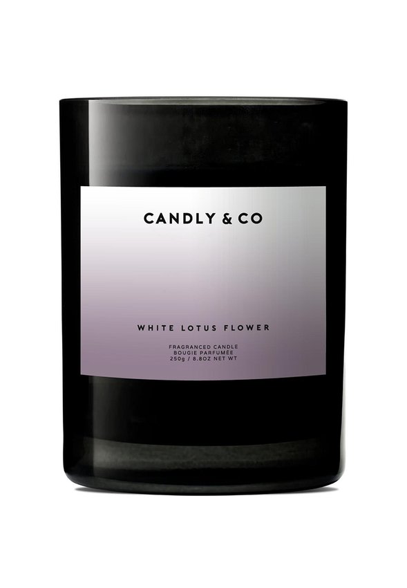 Świeca sojowa w szkle CANDLY&CO bez cytatu zapach No.8 250g