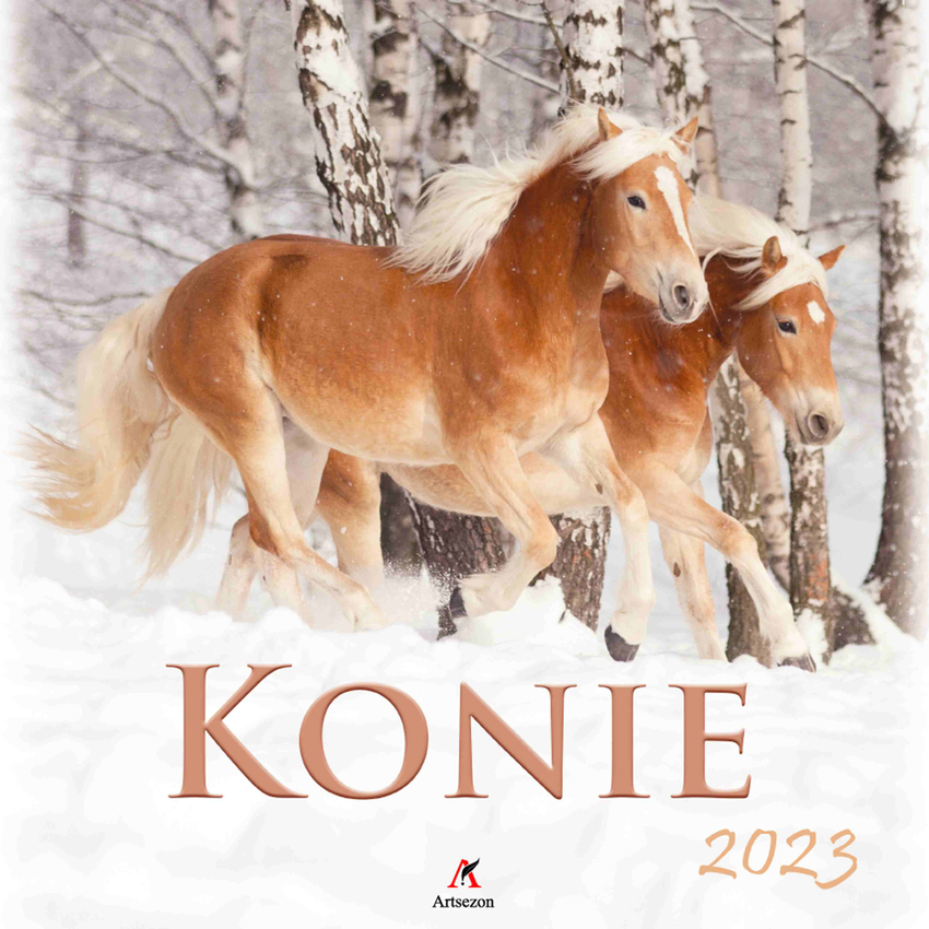 Kalendarz Wielop. Konie 33x33Cm 2023  /Artsezon