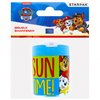 Temperówka Podwójna Plastikowa [477807] Paw Patrol /Starpak
