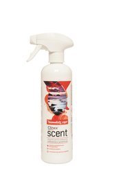 Odświeżacz Powietrza Clinex Scent Tasmański Czar 500Ml 77-901 Skoncentrowany